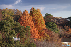 遠景