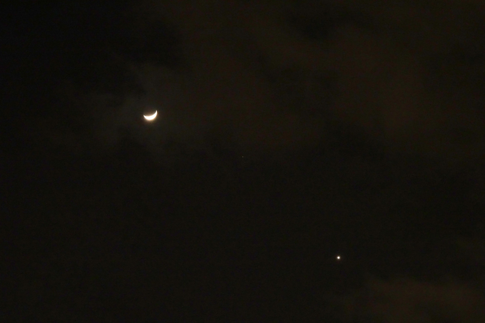 ２月１日の月と金星