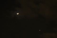 ２月１日の月と金星