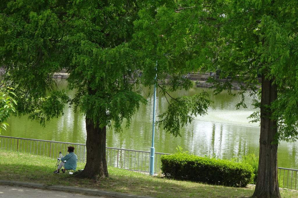 池のほとり