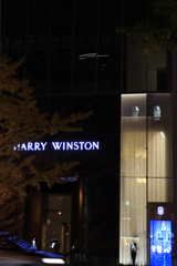  HARRY WINSTON