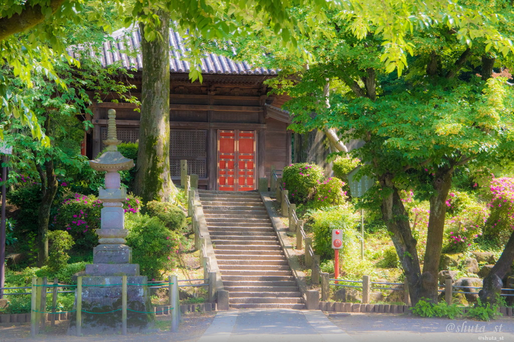 初夏の喜多院
