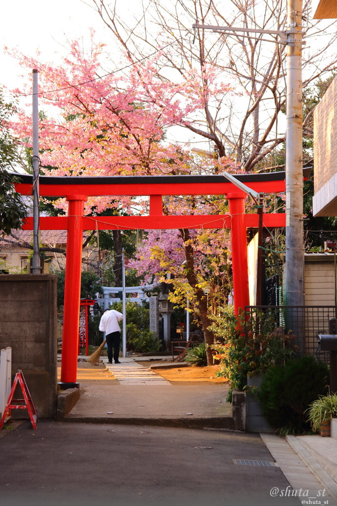 春鳥居
