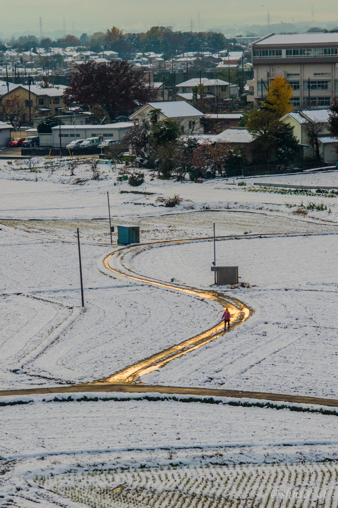 雪のあぜ道