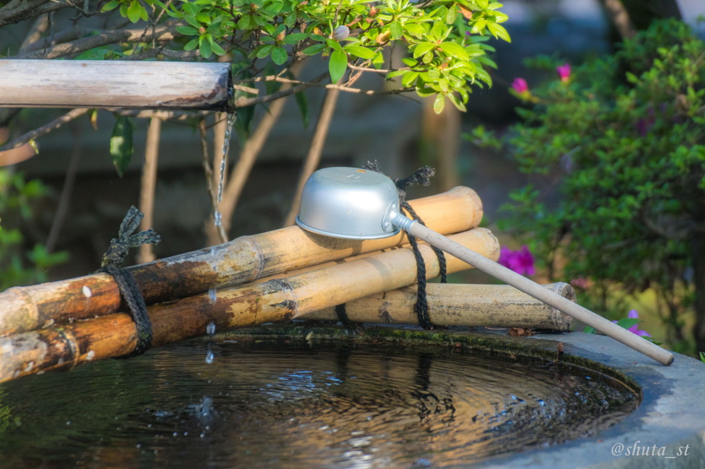 初夏の手水鉢