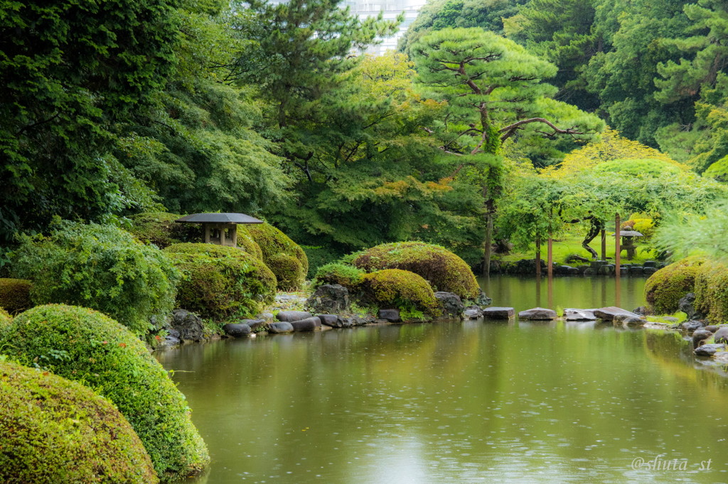 雨の日本庭園