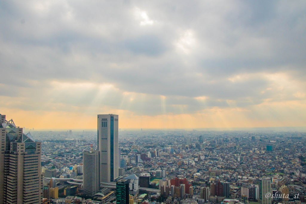 東京都庁の展望台から