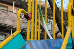 長ネギを連れて公園に遊びに行きました