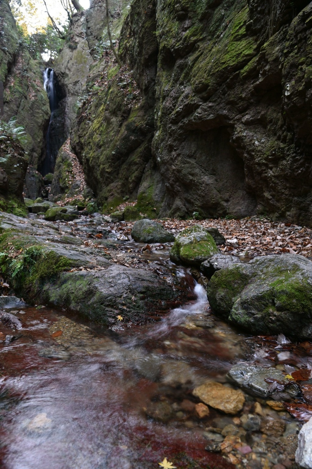 黒山三滝