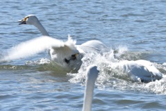 ビックリ！