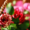 先取りmother`s day 