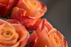 IMG_2409花
