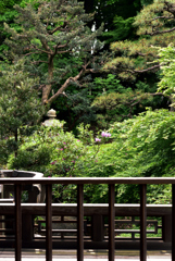 庭園