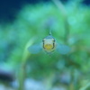 こんちわ。