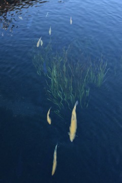 付いてきてー、次行くよ！