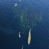 付いてきてー、次行くよ！