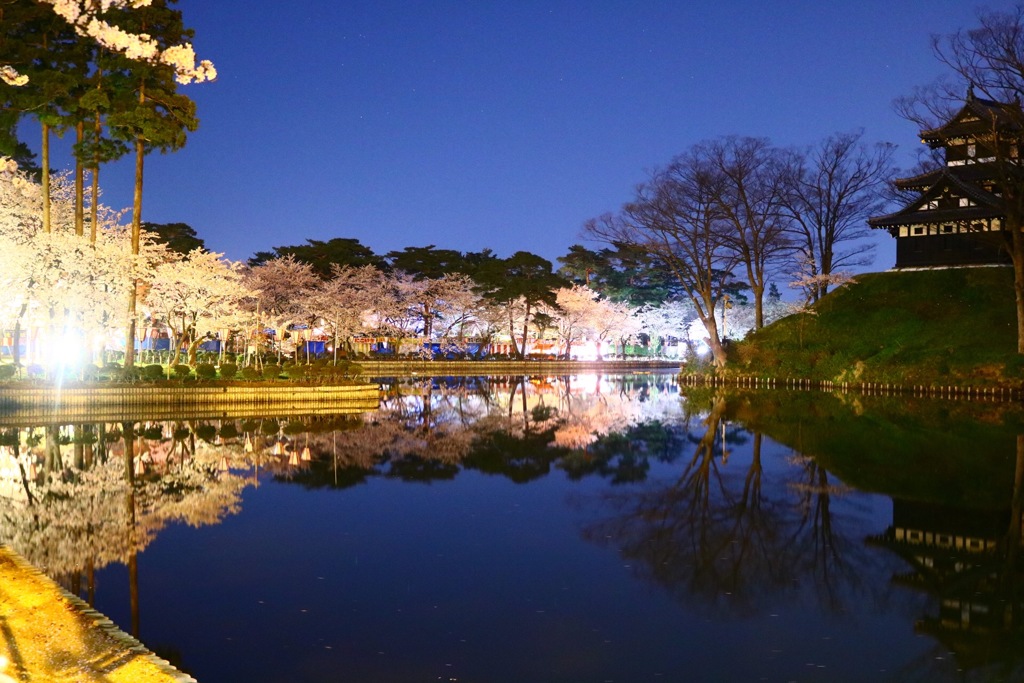 夜中の観桜会