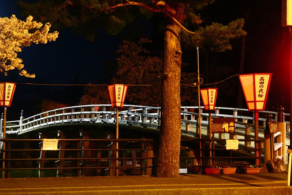 夜中の観桜会
