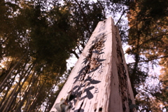いい天気