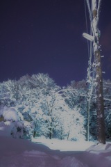 新潟は雪