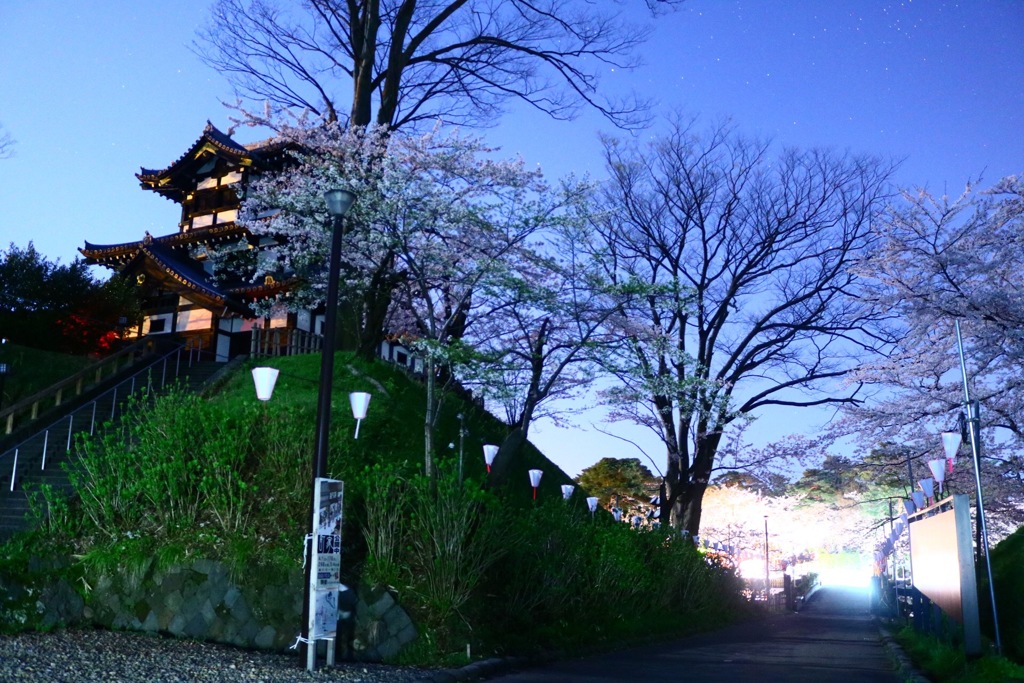 夜中の観桜会