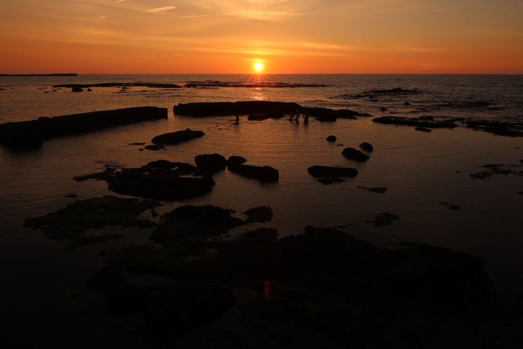 夕日