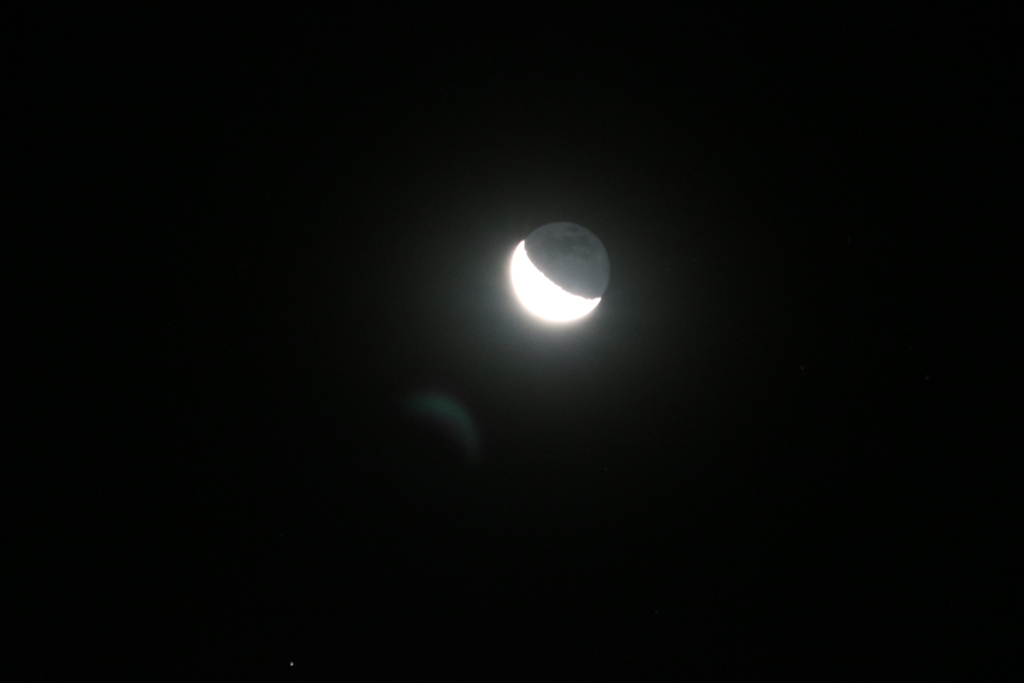 6176643488_IMG_1175