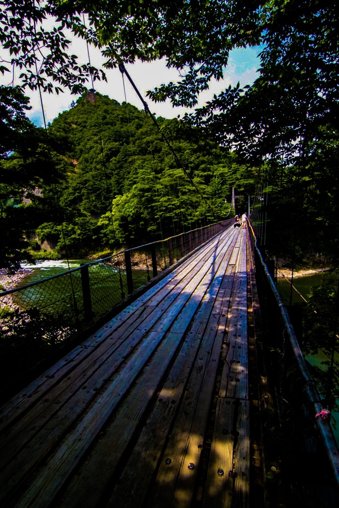 鷹の巣