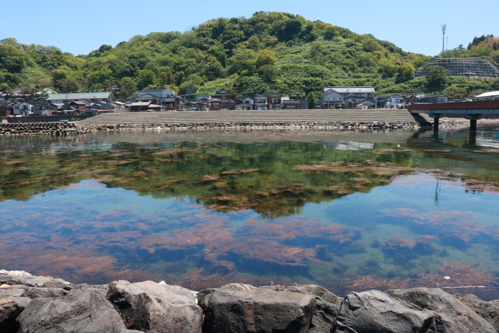 海