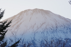 7A0B7A40-94A0-47C9-9408-2BDEA6A8F672