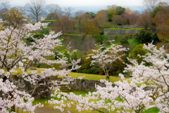 荒城の桜　- 春高楼の  花の宴 -