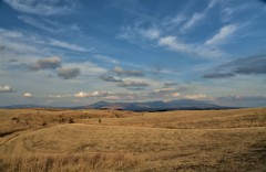 渺茫たる原野