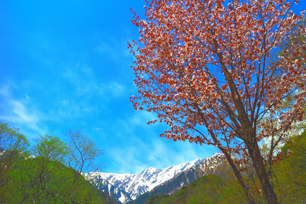 春の登山口