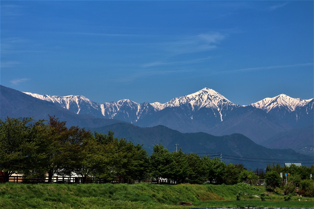 早春賦
