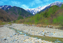 芽吹く山麓