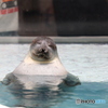 「はぁー、気持ちーー」