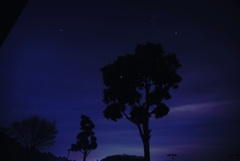 夜空を見上げ