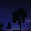 夜空を見上げ