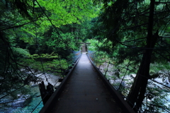 阿寺渓谷のつり橋