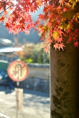 sign