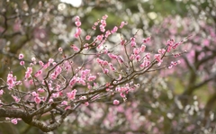 2016-03-25 16.59.25