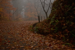 2016-11-19 19.24.51