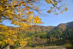 2016-11-08 19.31.54