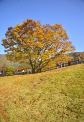 2016-11-10 17.18.39