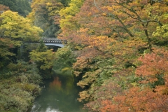 2016-11-11 16.36.59