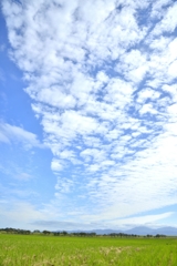 2016-10-11 17.51.31