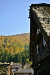 2016-11-10 16.29.50