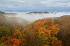 2016-11-19 19.32.42