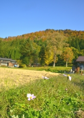 2016-11-10 16.42.08
