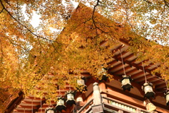 談山神社のもみじ　